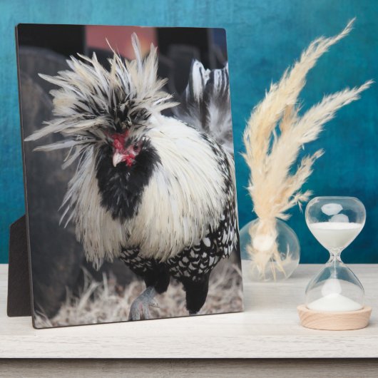 Poolse Crested Rooster Fotoplaat (Zijkant)