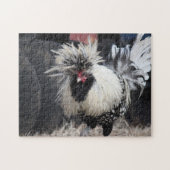 Poolse Crested Rooster Legpuzzel (Horizontaal)