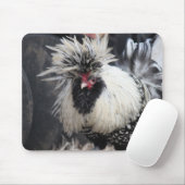 Poolse Crested Rooster Muismat (Met muis)