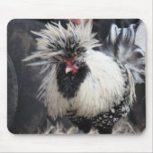 Poolse Crested Rooster Muismat (Voorkant)