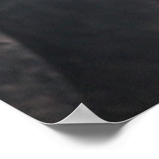 Poolse Crested Rooster Poster (Hoek)