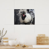 Poolse Crested Rooster Poster (Keuken)