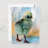 Poolse eikel briefkaart (Voorkant / Achterkant)