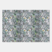 Poolse geldmunten die papieren bladen verpakken inpakpapier vel (Voorkant 3)