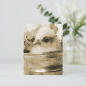 Poolse griet in Sepia Briefkaart (Staand voorkant)