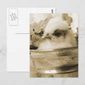 Poolse griet in Sepia Briefkaart (Voorkant / Achterkant)