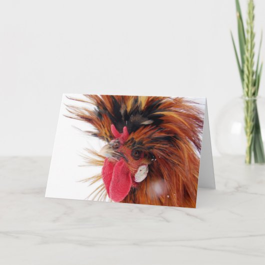 Poolse Haan Winter Sneeuw Kerstmis Feestdagen Kaart (Voorkant)