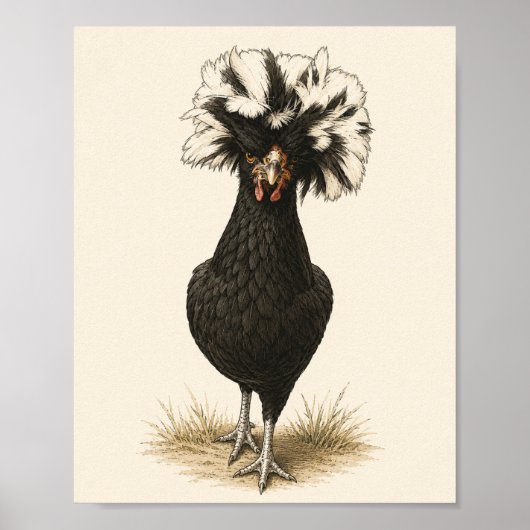 Poolse Hen Kip Kunstprint, Vintage Boerderij Keuke Poster (Voorkant)
