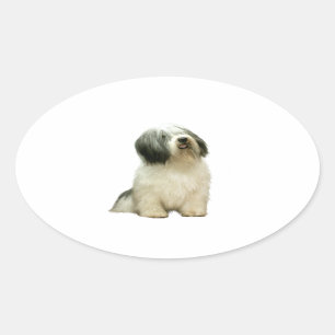 Poolse Laaglandherder (PON) - A Ovale Sticker