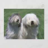 Poolse laaglandschapen briefkaart (Voorkant)