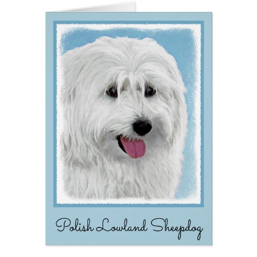 Poolse Laaglandschilderkunst - Dog Art (Voorkant)