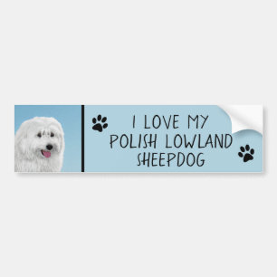 Poolse Laaglandschilderkunst - Dog Art Bumpersticker
