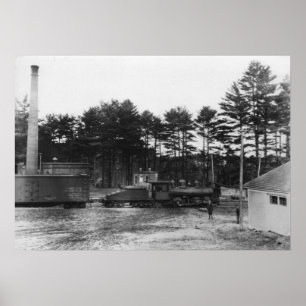 Poolse lentespoor poster