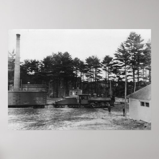 Poolse lentespoor poster (Voorkant)