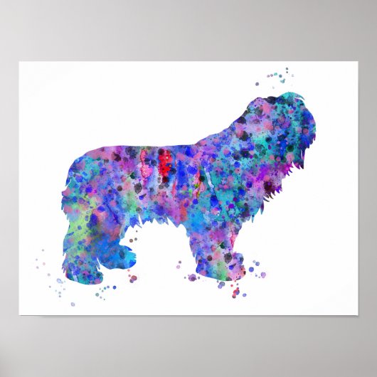 Poolse Lowland Sheepdog Poster (Voorkant)