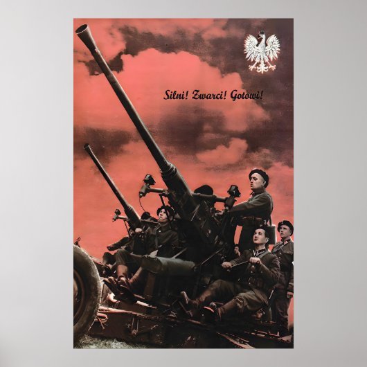 Poolse Luchtmacht WWII Propagandaposter Sterk Poster (Voorkant)