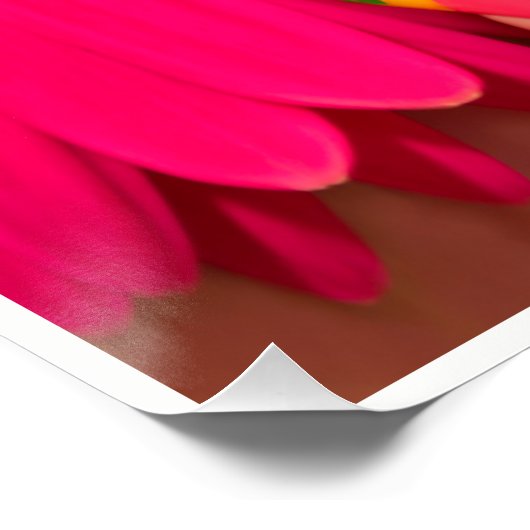 Poolse posh Walls Perfect Poster (Hoek)