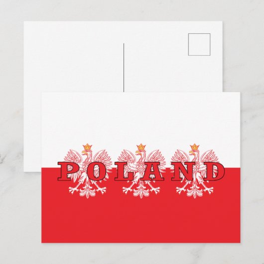 Poolse rode adelaars briefkaart (Voorkant / Achterkant)