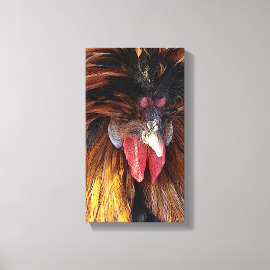 Poolse roestster canvas afdruk (Voorkant)
