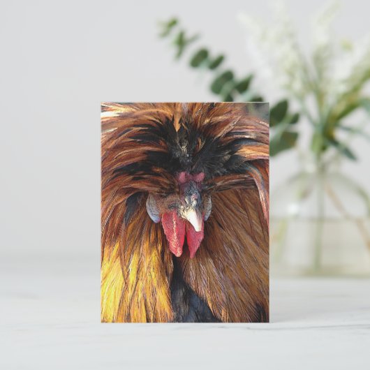 Poolse Roo Briefkaart (Staand voorkant)