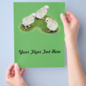 Poolse Splash Kuikens Flyer (Hand)