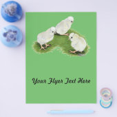 Poolse Splash Kuikens Flyer (Enkel)