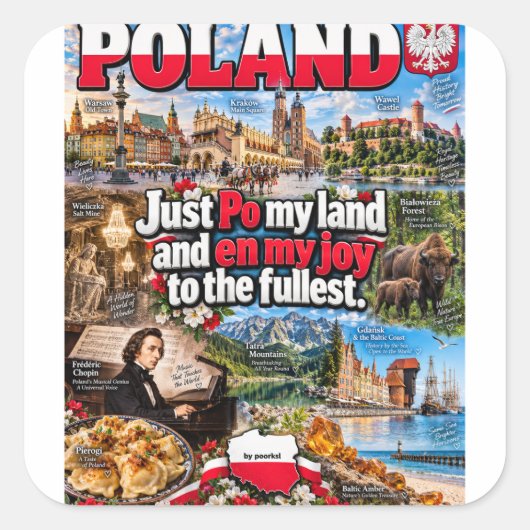Poolse sticker (Voorkant)