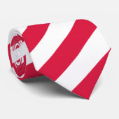 Poolse Stropdassen, mode Poolse vlag Stropdas (Opgerold)