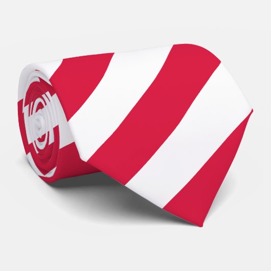 Poolse Stropdassen, mode Poolse vlag Stropdas (Opgerold)