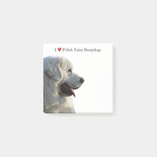 Poolse Tatra Sheepdog Sticky Notes (Voorkant)