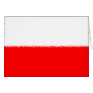 Poolse vlag