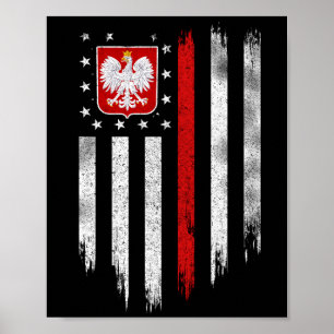 Poolse vlag Combo Poland Usa Polska Poster
