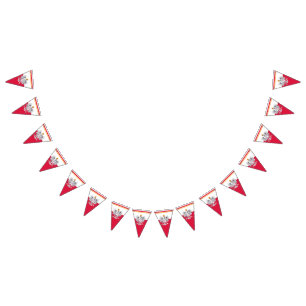 Poolse vlag en partij Polen Eagle Banners/bruiloft Vlaggetjes