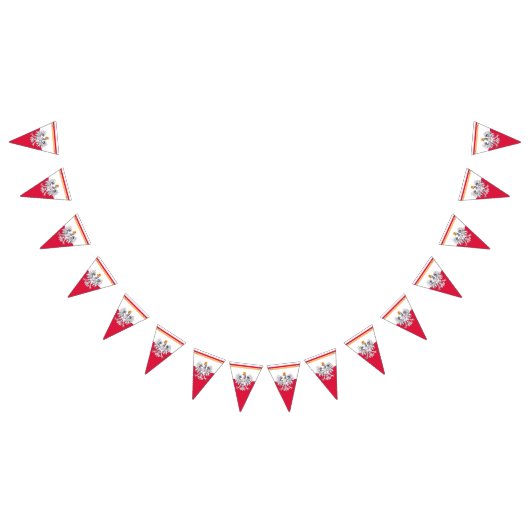 Poolse vlag en partij Polen Eagle Banners/bruiloft Vlaggetjes (Alle)