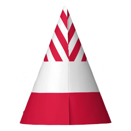 Poolse vlag feesthoedjes (Achterkant)
