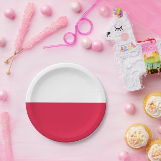 Poolse vlag papieren bordje (Feest)