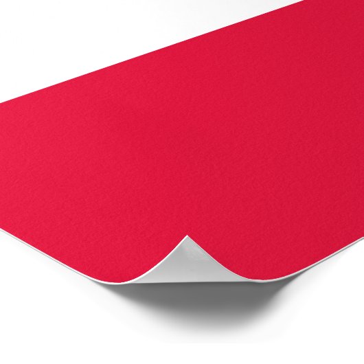 Poolse vlag poster (Hoek)