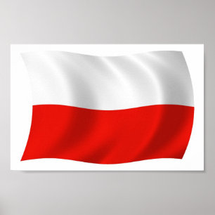 Poolse vlag Poster Print