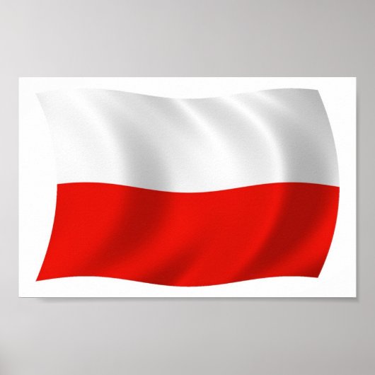 Poolse vlag Poster Print (Voorkant)