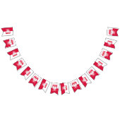 Poolse vlaggetjes, patriottische spandoeken, Polen Vlaggetjes (Alle)