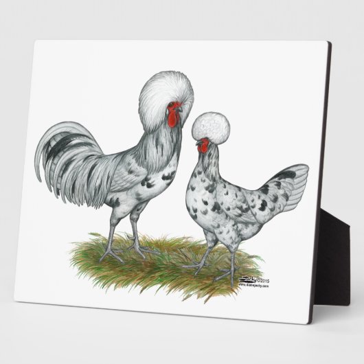 Poolse weekkippen fotoplaat (Zijkant)