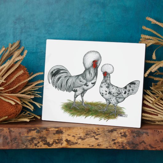 Poolse weekkippen fotoplaat (Zijkant)