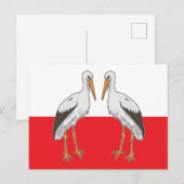 Poolse witte storm briefkaart (Voorkant / Achterkant)