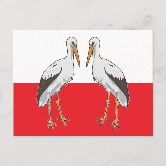 Poolse witte storm briefkaart (Voorkant)
