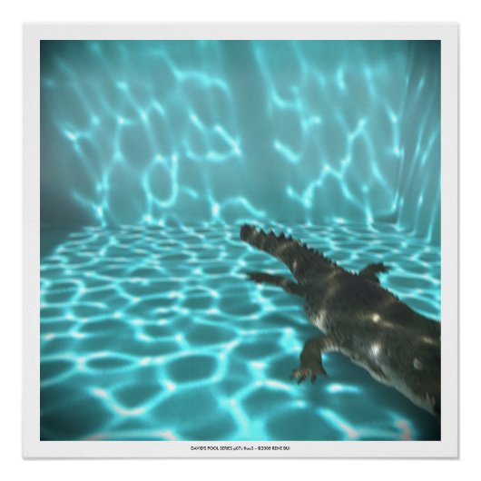 POOLSERIE VAN DAVID p07c flou3- 3D Computer ART Perfect Poster (Voorkant)