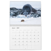 Poolvos 2027 Agenda Kalender (Mar 2027)