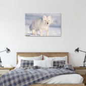 Poolvos, Alaska Canvas Afdruk (Insitu (Slaapkamer))
