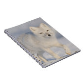 Poolvos, Alaska Notitieboek (Rechterzijde)