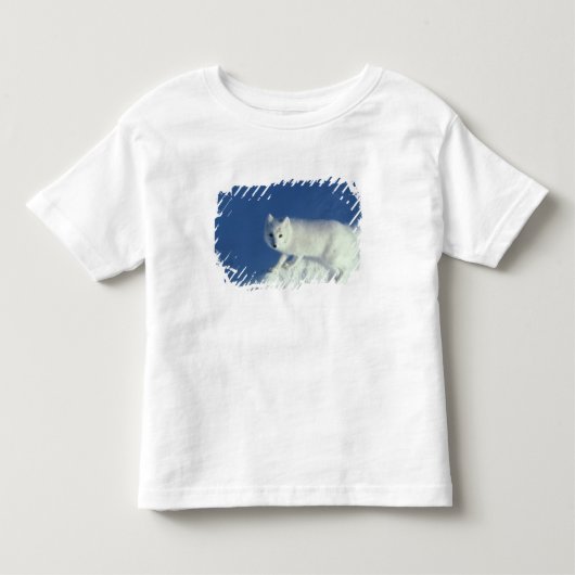 Poolvos Alopex lagopus) Een poolvos Kinder Shirts (Voorkant)