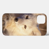 poolvos, Alopex lagopus, jas van 2 Case-Mate iPhone Case (Achterkant (horizontaal))